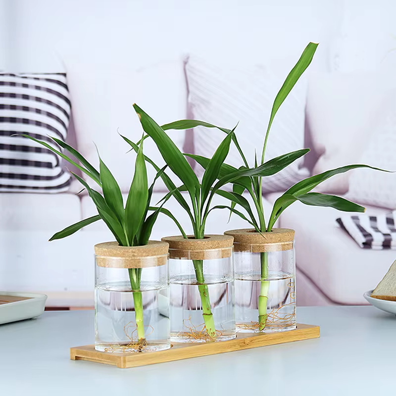 Pot de fleur hydroponique transparent