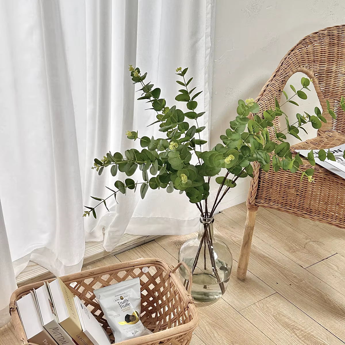 Cuir chevelu d'eucalyptus à 3 fourcommuniste