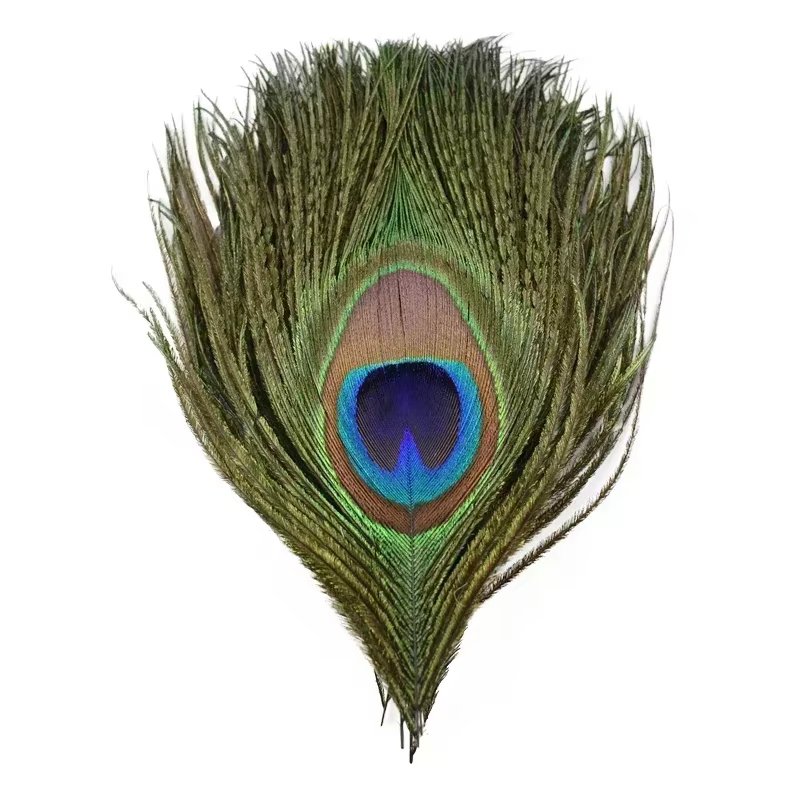Plumes de paon naturelles pour la création de bijoux