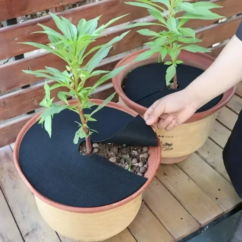 Anneaux de pain d'arbre ronds Anti-herbe
