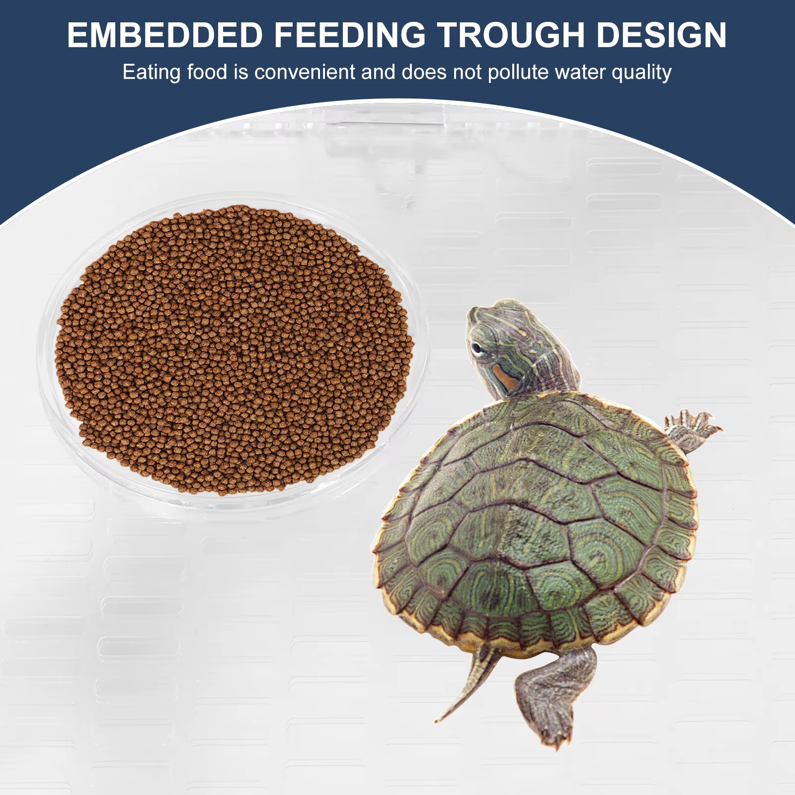 Plateforme pour tortue réglable en hauteur, plateforme de bain de soleil transparente en acrylique avec zone d'alimentation, accessoire pour aquarium de tortue et de poisson