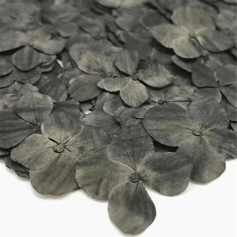 60X pressé séché absorbant hortensia Macrophylla plantes à fleurs herbier pour bijoux coque de téléphone signet carte postale Scrapbook bricolage