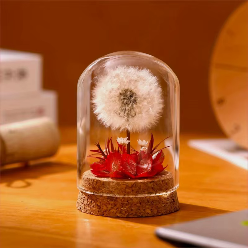 Bouquet de pissenlit séché pour décoration de bureau