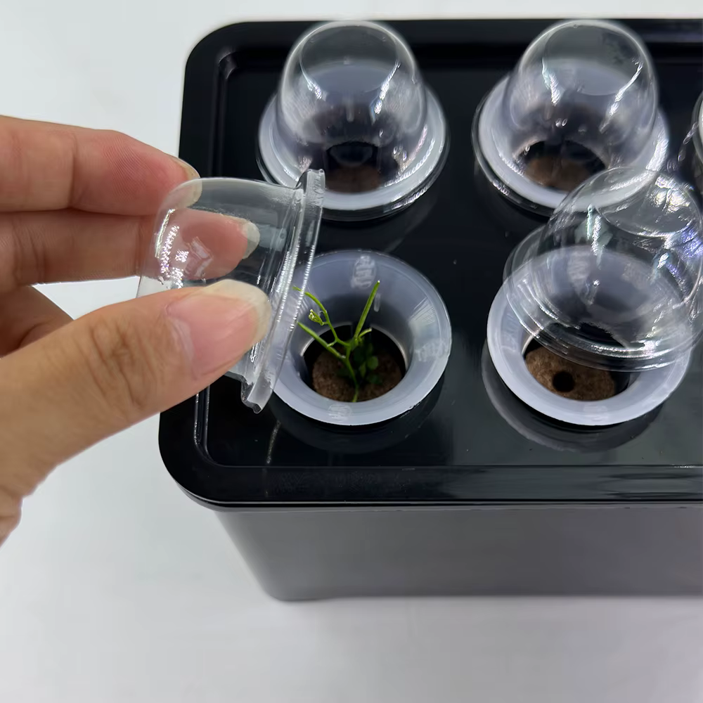 Système de culture hydroponique blanc/noir, boîte hydroponique, Pot de pépinière à 6 trous pour plantes d'intérieur de jardin, jardinière de culture végétale sans sol