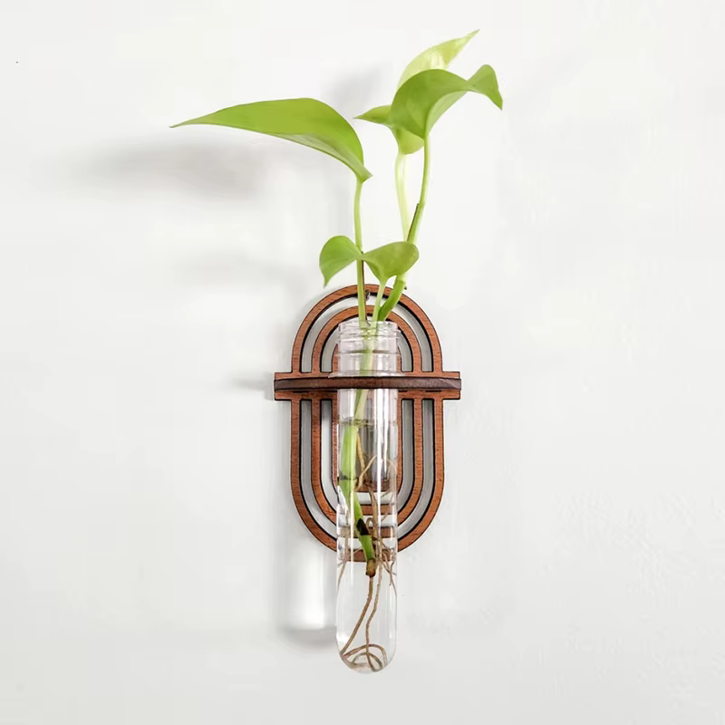 Vase mural pour plantes