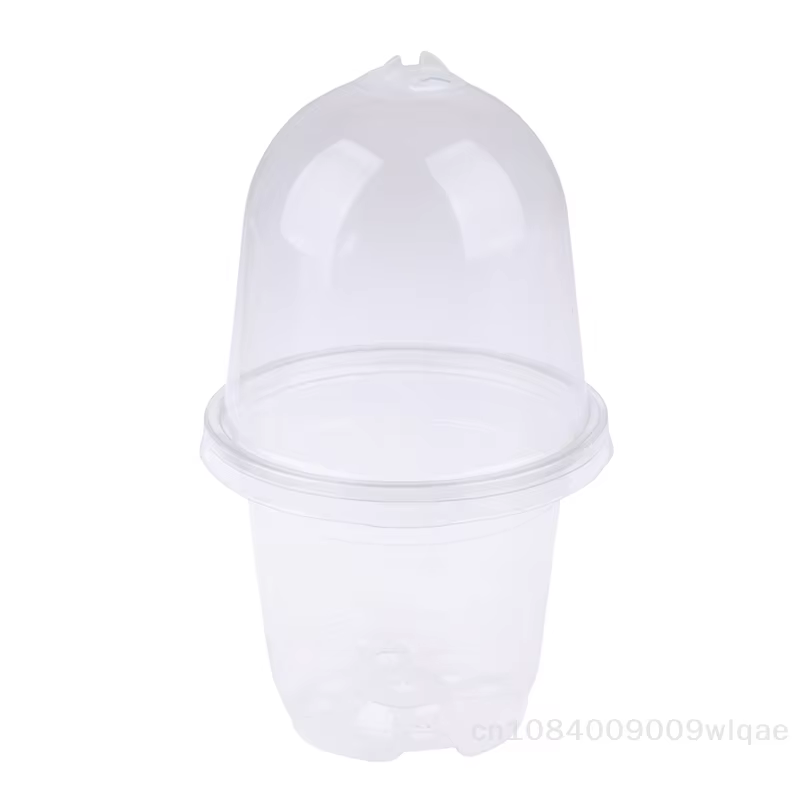 Kit de démarrage de graines isolé
