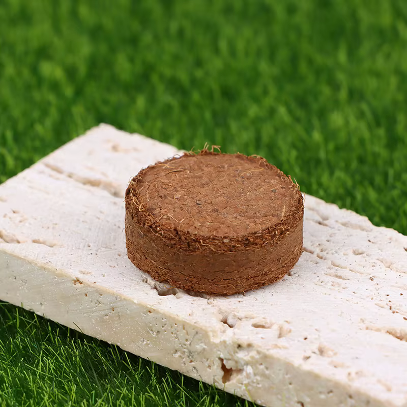 Lot de 5 pièces de fibres de coco compressées pour rempotage