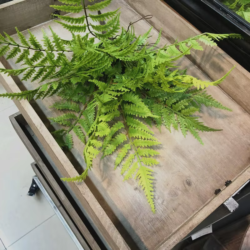 Plantes artificielles pour chambre à coucher