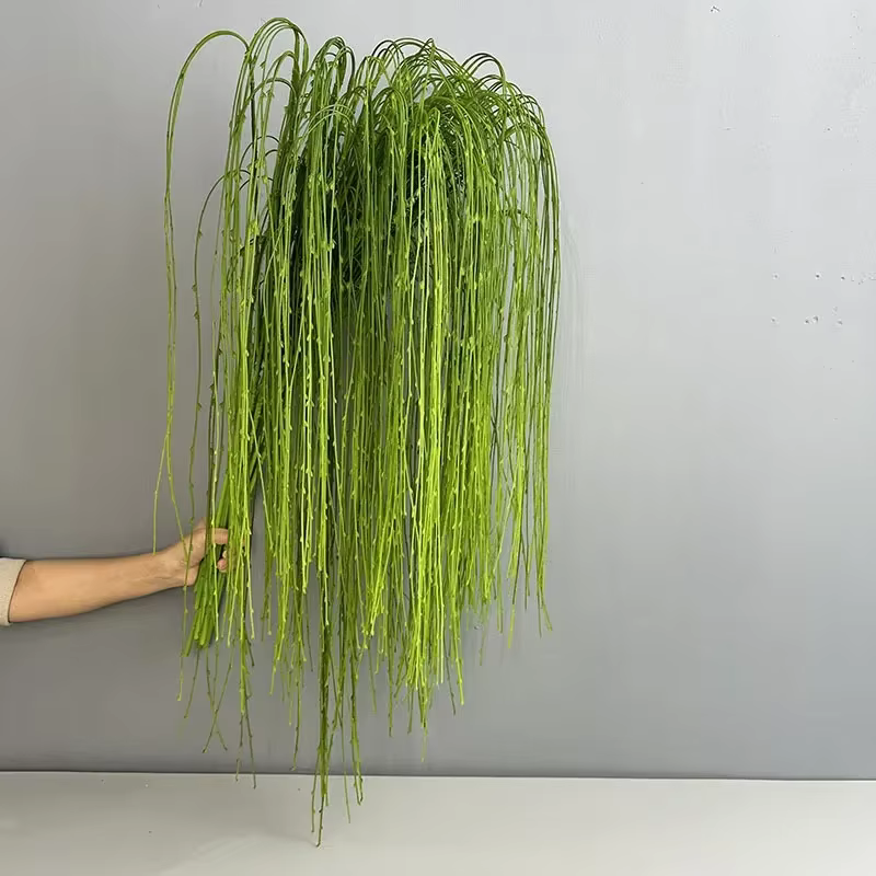 Simulation de plantes de saules pleureurs