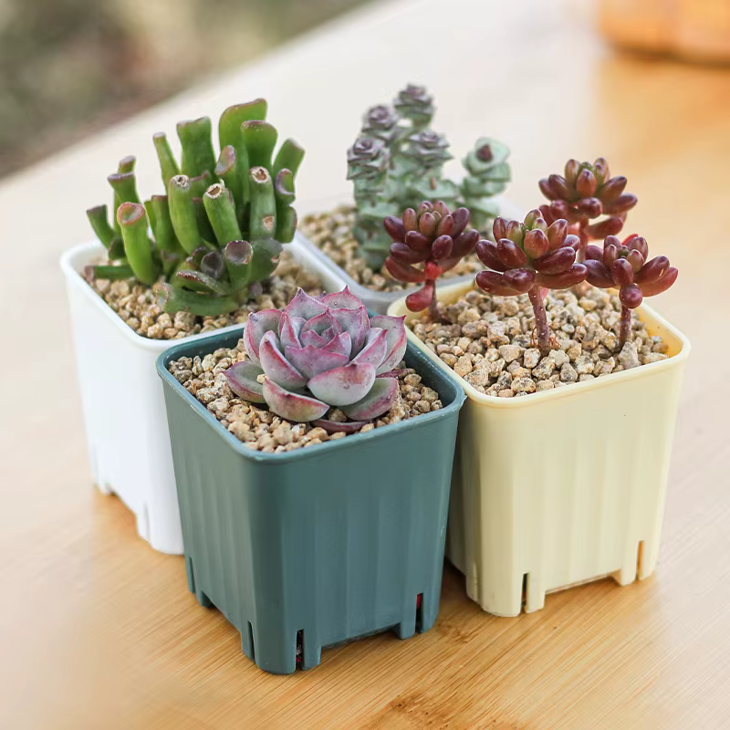5/10/20 pièces petit Pot de fleurs carré épaissi fleur plantes succulentes pépinière grandir Pot Mini Cactus planteur décoration de jardin 6/8CM