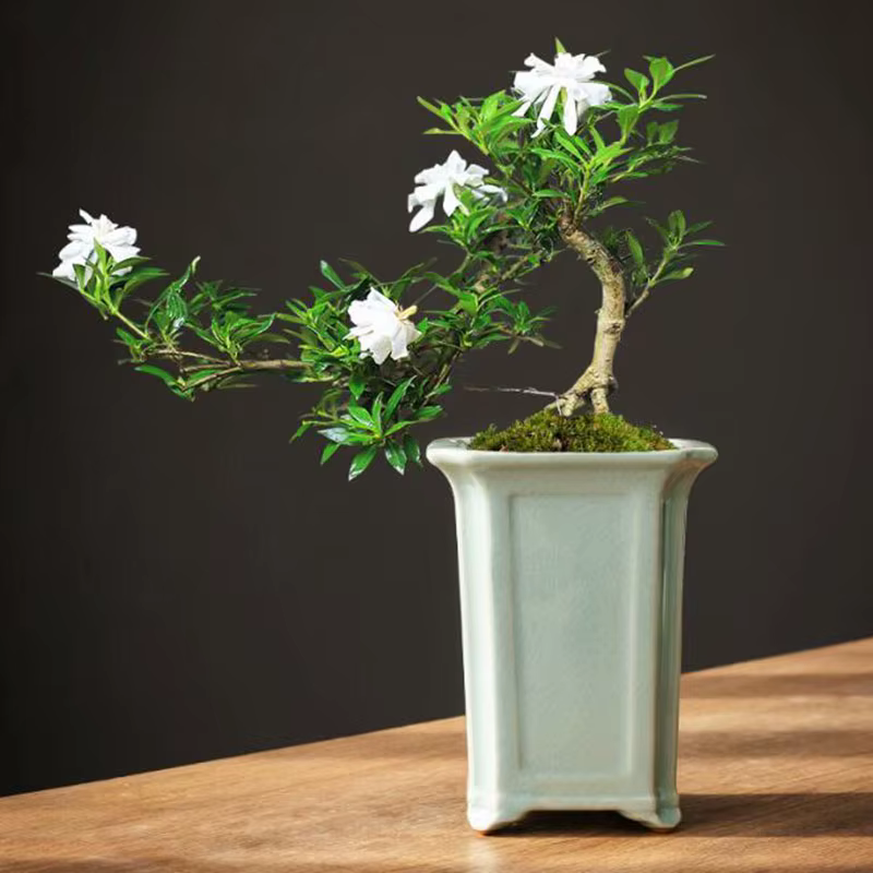 Pot de plante orchidée de style chinois Geyao