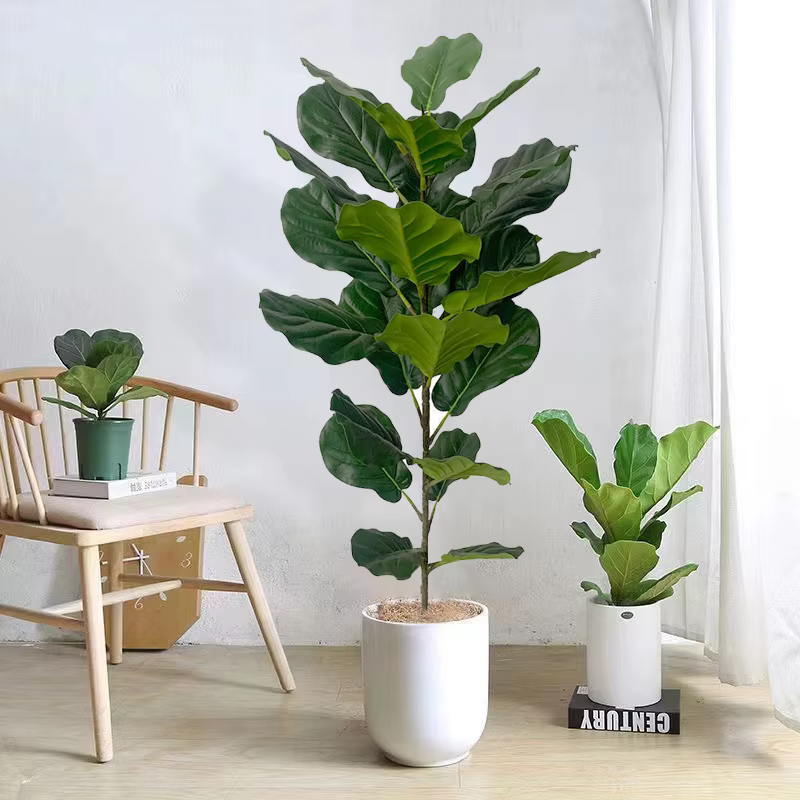 Grandes Plantes Artificielles de Ficus