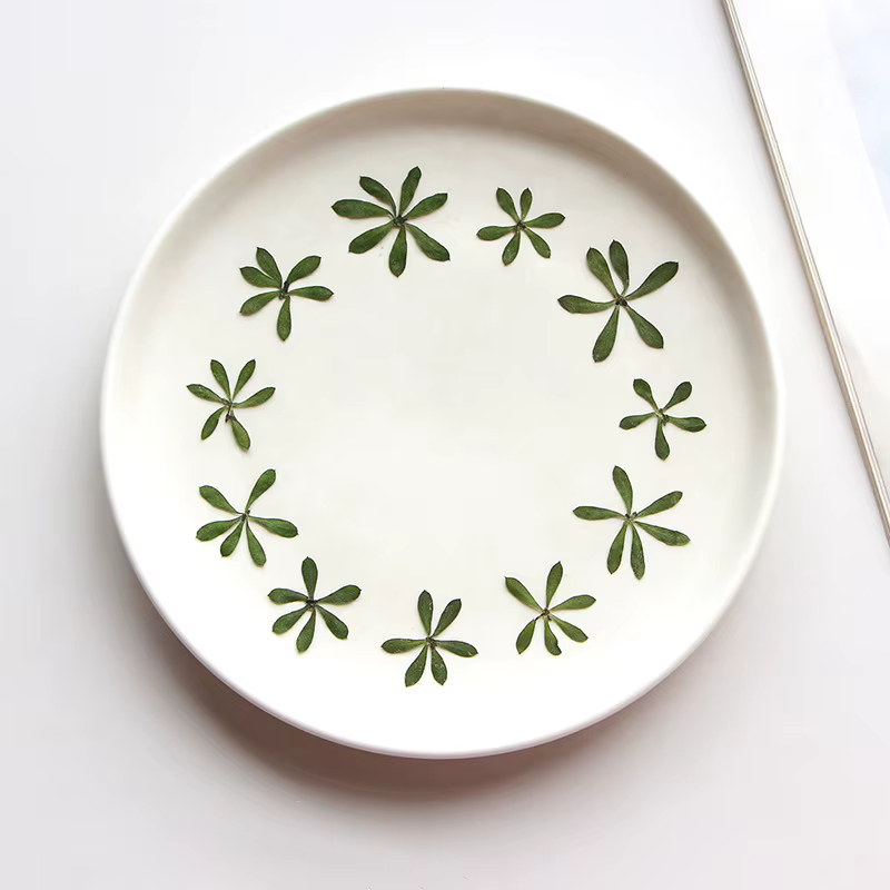 Nature Green Leaves Pressed Flower