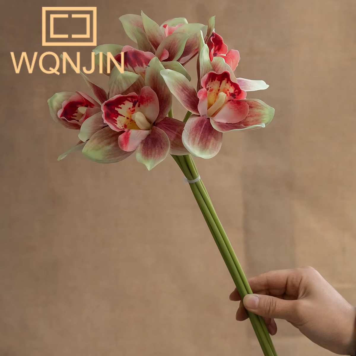 Nouveaux vases d'orchidées papillon d'automne
