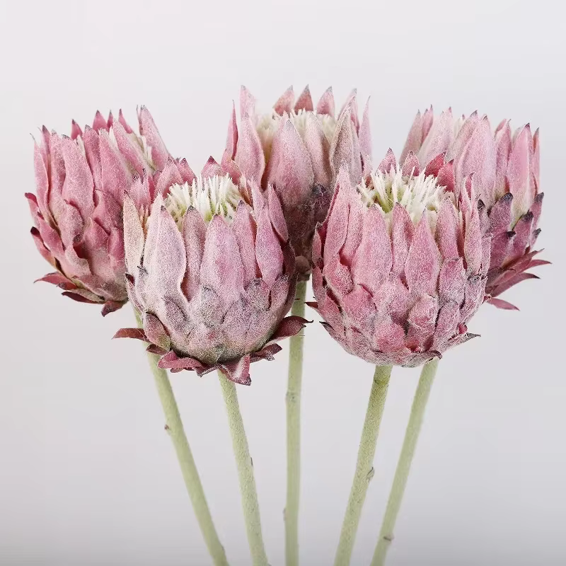 Artificielle haut de gamme unique nordique flocage artichaut fleur décoration de la maison accessoires de photographie
