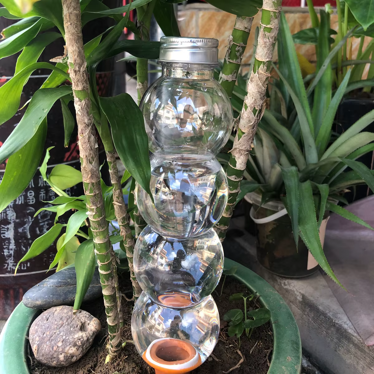 1 pièce - Dispositif d'arrosage automatique créatif - Arroseur pour plantes - Outils de jardinage