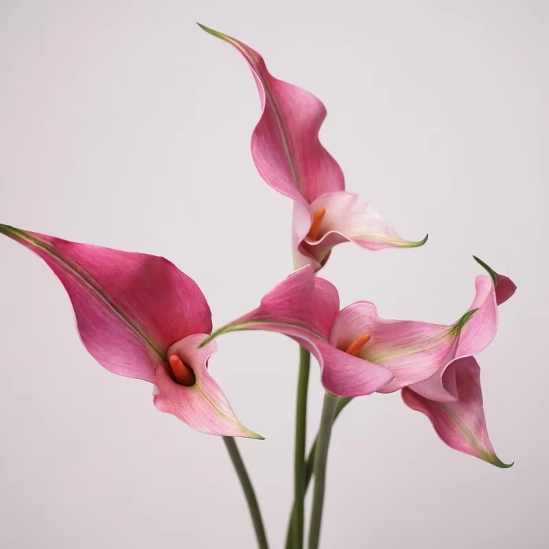 Fleurs artificielles de lys calla en PU