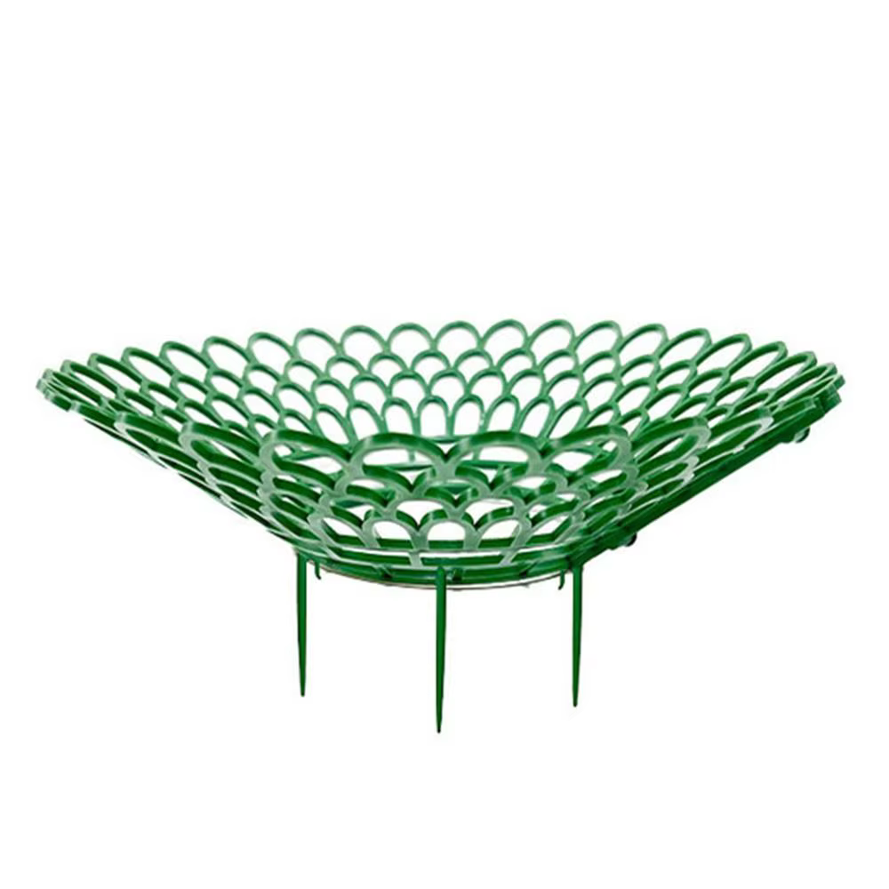 Supports robustes pour plantes de fraises à 3 pieds