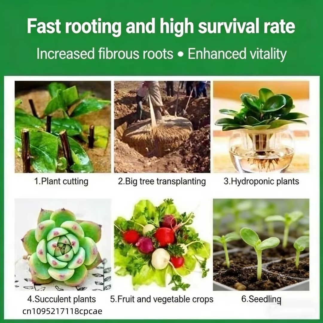 Engrais pour l'enracinement des fleurs ornementales