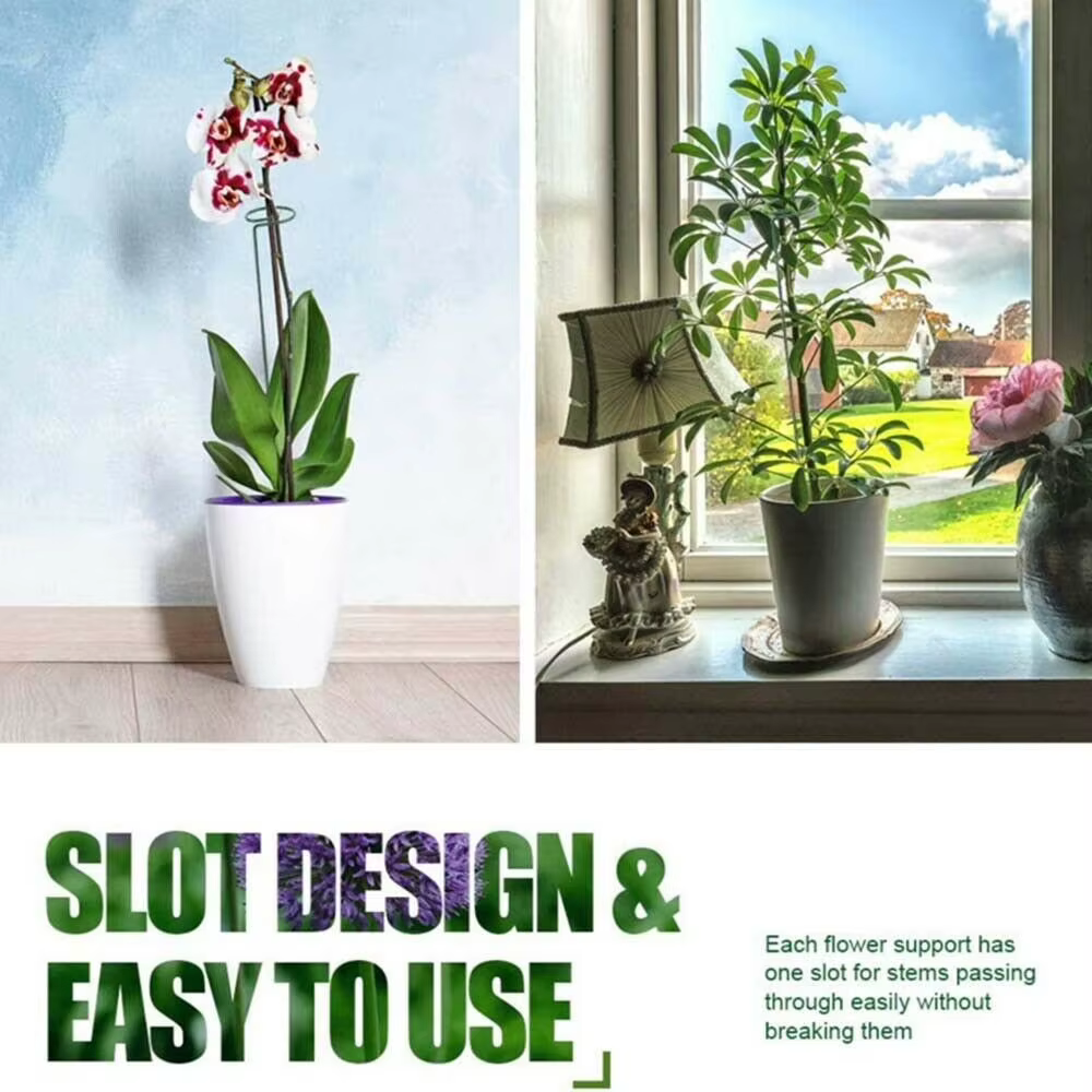 Bâtons de Support pour plantes grimpantes en pot