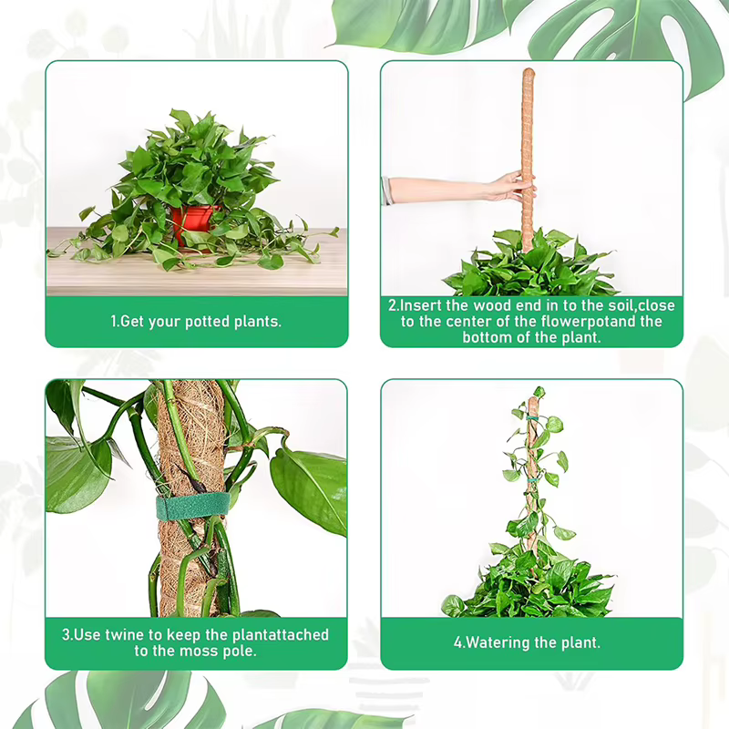 Plantes pliables Support d'escalade plante mousse coir pôle bas