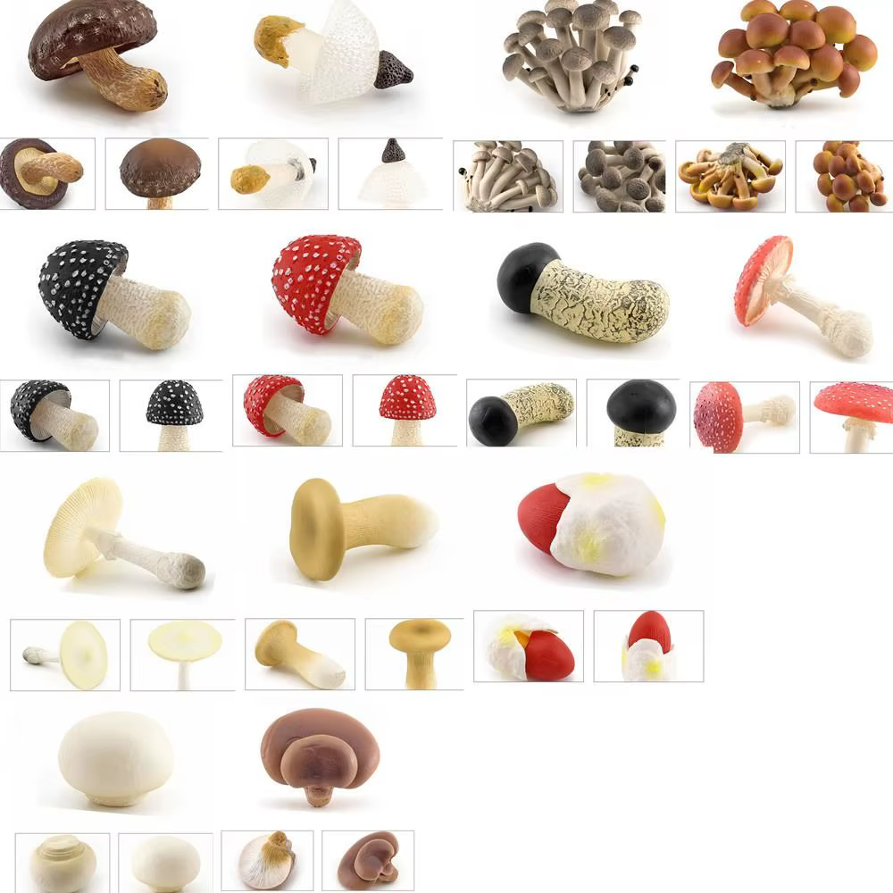 Figurines de champignons modèle végétal Matsutake Oyste Simulation artificielle champignon Pleurotus plante