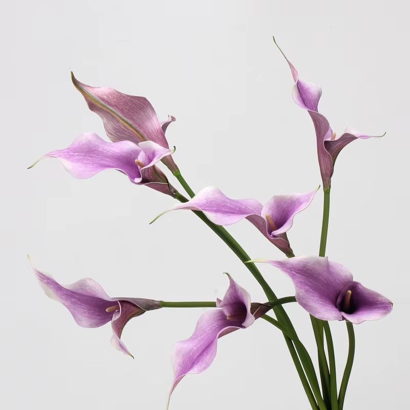 EVA – fleur artificielle de lys Calla
