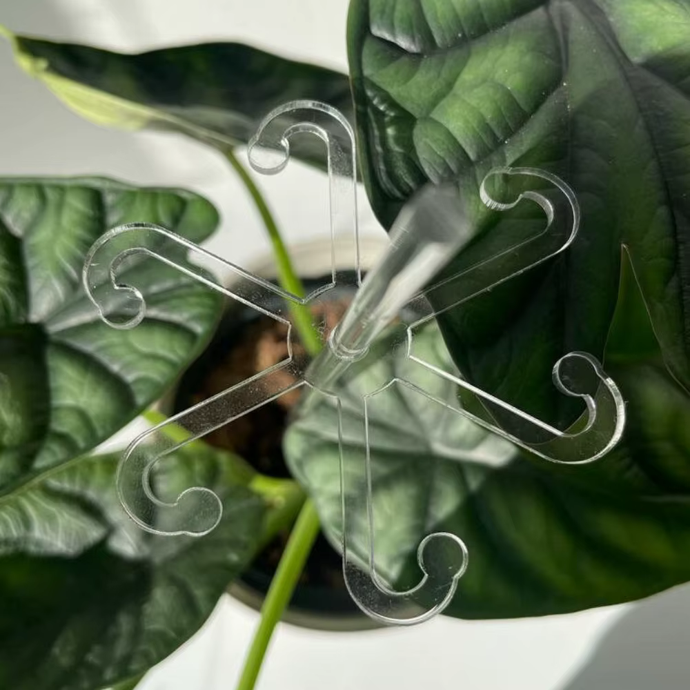 Le support de support pour plantes en acrylique fournit un support supplémentaire pour les plantes et les fleurs pour aider les cultiver