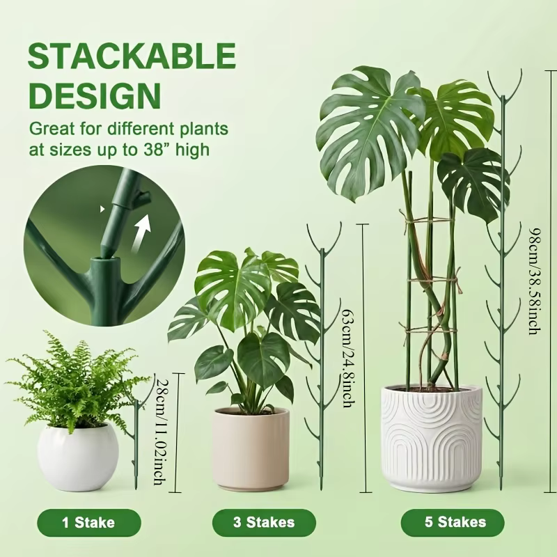 Supports pour plantes Monstera