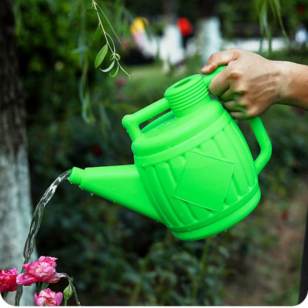Arrosoir pour plantes, dispositif de décoration