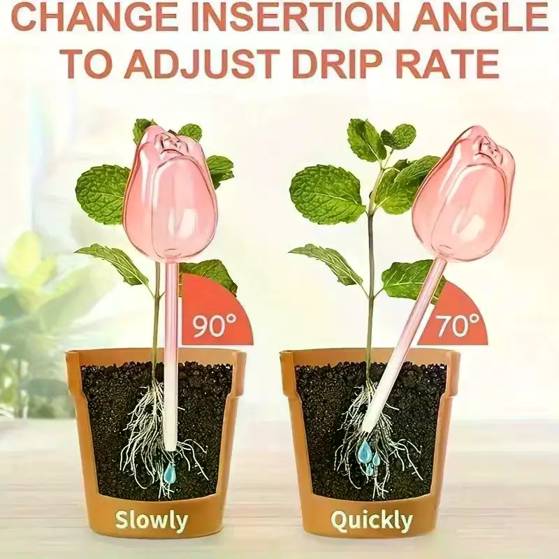 Solution élégante d'arrosage des plantes