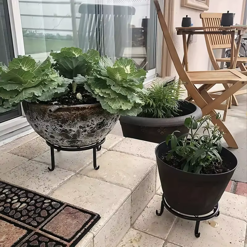 Supports de plantes en métal pour pot de fleur