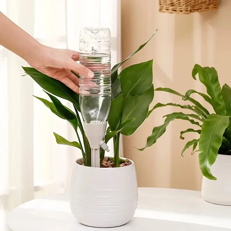 Dispositif d'arrosage automatique de fleurs pour plantes en pot à la maison