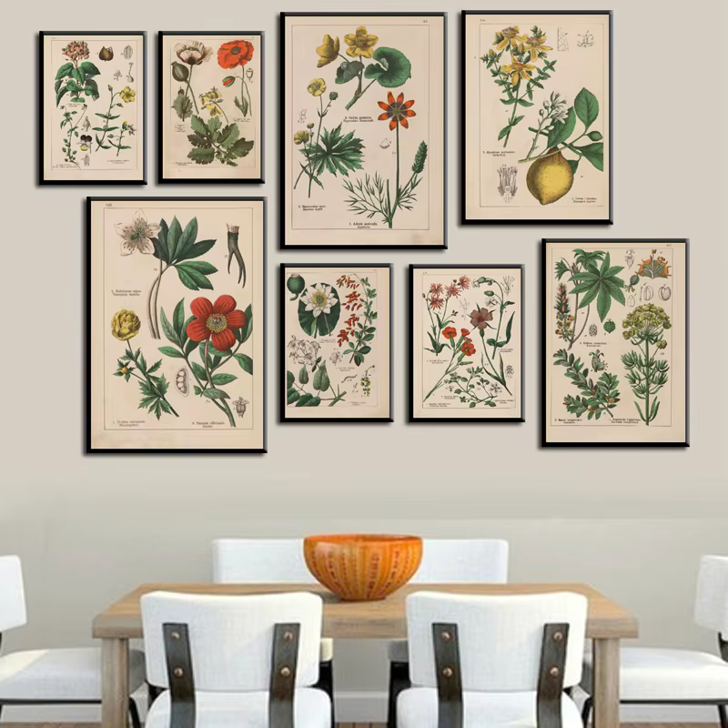 Affiches et imprimés d'herbes botaniques Vintage