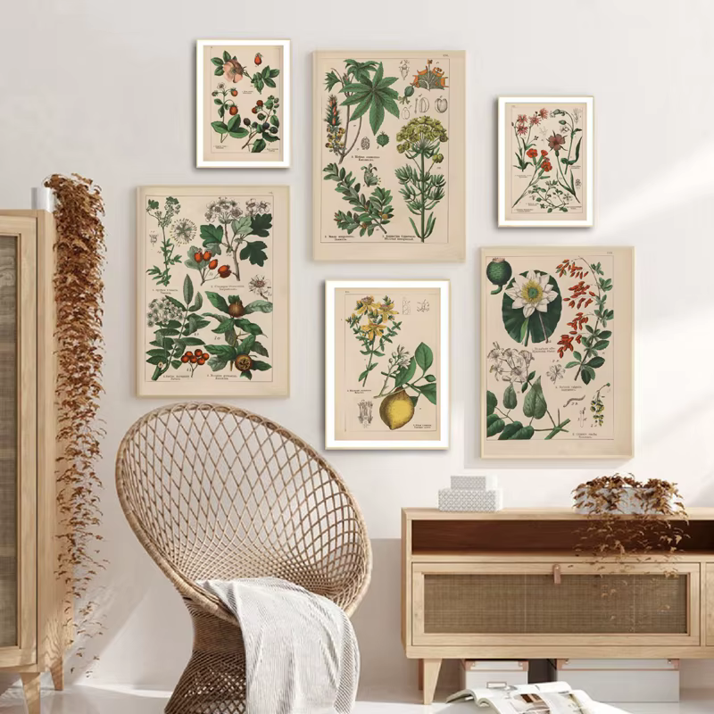 Affiches et imprimés d'herbes botaniques Vintage