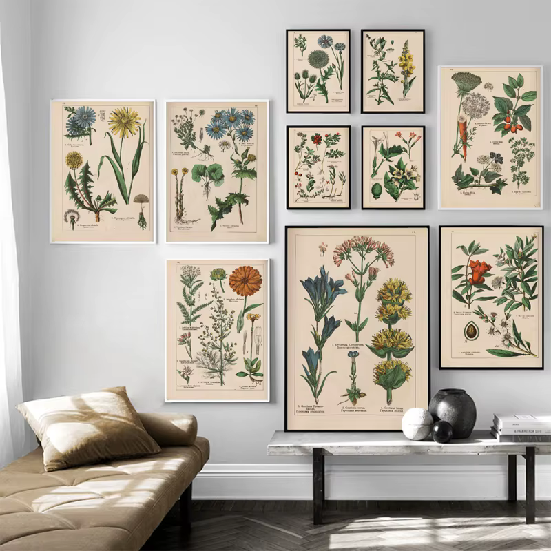 Affiches et imprimés d'herbes botaniques Vintage